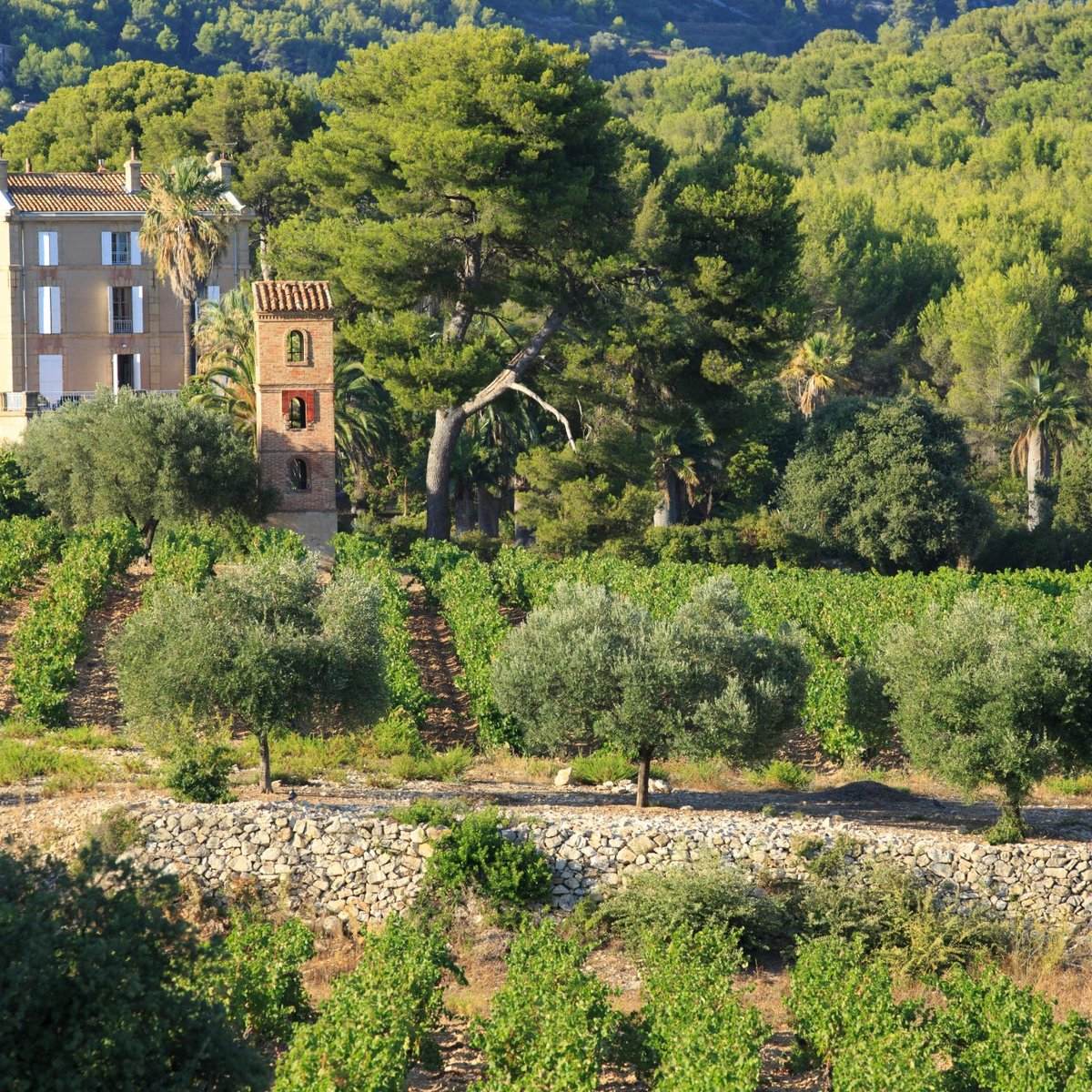 Le Frégate Provence,